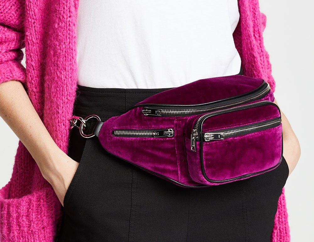 Reference image illustrating Alexander Wang Attica Fanny Pack Restocked: Mini and Velvet Versions Now Available