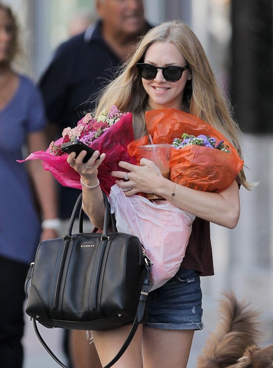 Reference image illustrating Amanda Seyfried's Handbag Collection: Givenchy, Prada, Chanel & More