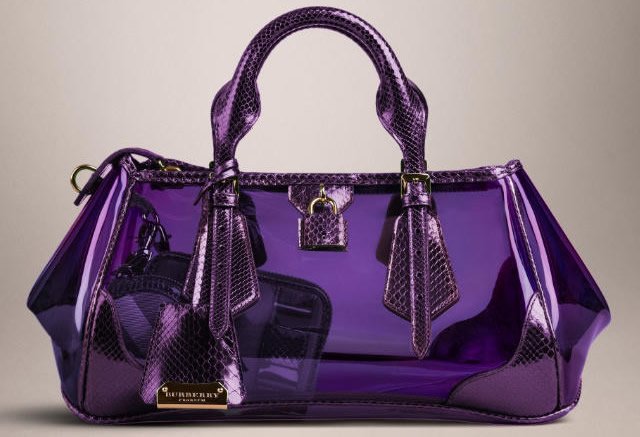 Reference image illustrating Burberry Blaze Bag Spring 2013: A Closer Look at the Runway’s Most Talked-About Accessory