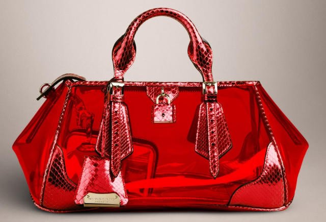 Reference image illustrating Burberry Blaze Bag Spring 2013: A Closer Look at the Runway’s Most Talked-About Accessory