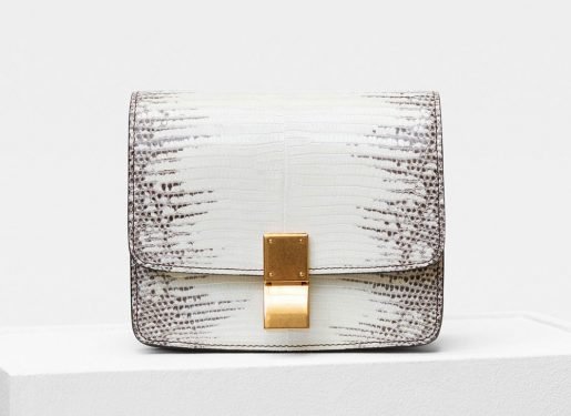 Céline Summer 2018 Collection: 83 New Bags Under Phoebe Philo’s Final Direction cover image