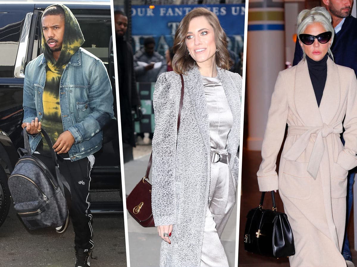 Reference image illustrating Celebrities Campaign for Oscars 2019 with Celine, Coach, and Hermès Bags