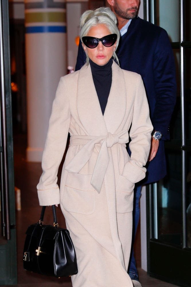 Reference image illustrating Celebrities Campaign for Oscars 2019 with Celine, Coach, and Hermès Bags