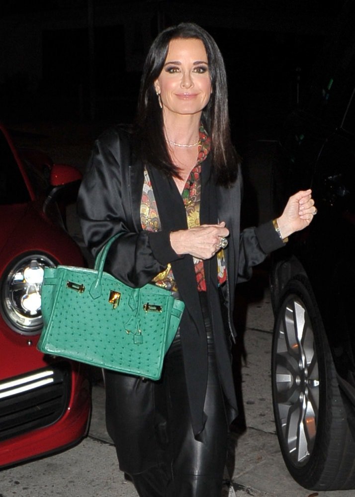 Reference image illustrating Celebrity Handbag Sightings at Fashion Week: Birkin, Dior, and Gabriela Hearst