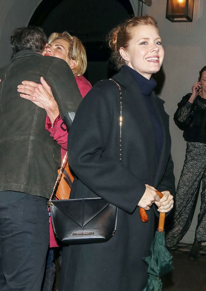 Reference image illustrating Celebrity Handbag Sightings: Mystery Bags, Chanel, Saint Laurent & Coach Spotted on A-Listers