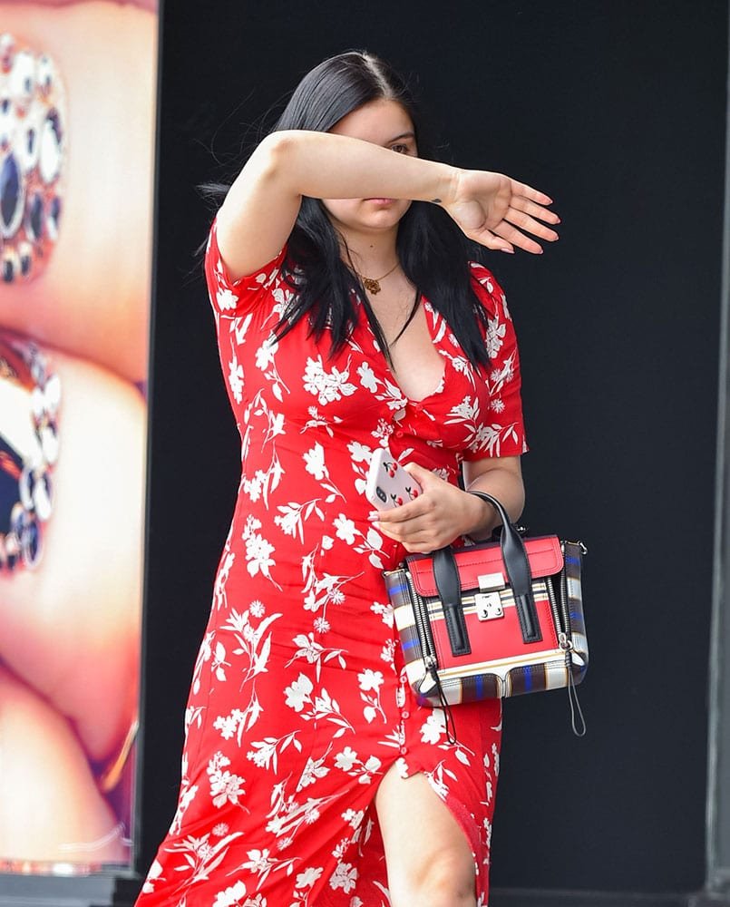 Reference image illustrating Chanel, Gabriela Hearst, and Fendi Lead Celebrity Handbag Trends This Week