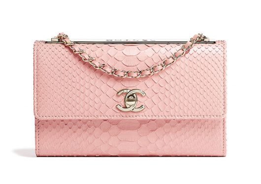Chanel Pre-Collection Spring 2018: 65 New Wallets, WOCs & Small Leather Goods cover image