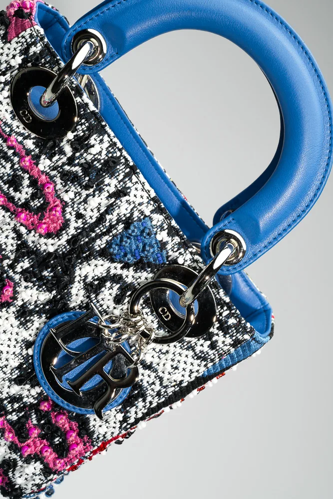 Reference image illustrating Dior Lady Art #2: A Collector’s Guide to the Limited-Edition Artist Bags