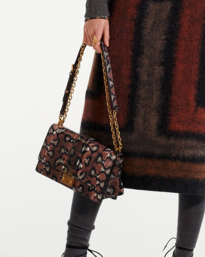 Reference image illustrating Dior Pre-Fall 2019 Bags: Bold Logos, Personalization, and New Silhouettes