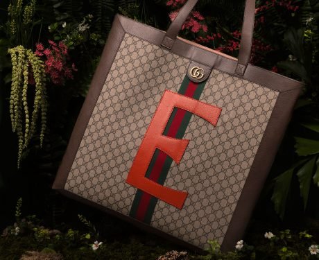 Gucci DIY Personalization: Customize Your Ophidia Tote with Initials Online cover image