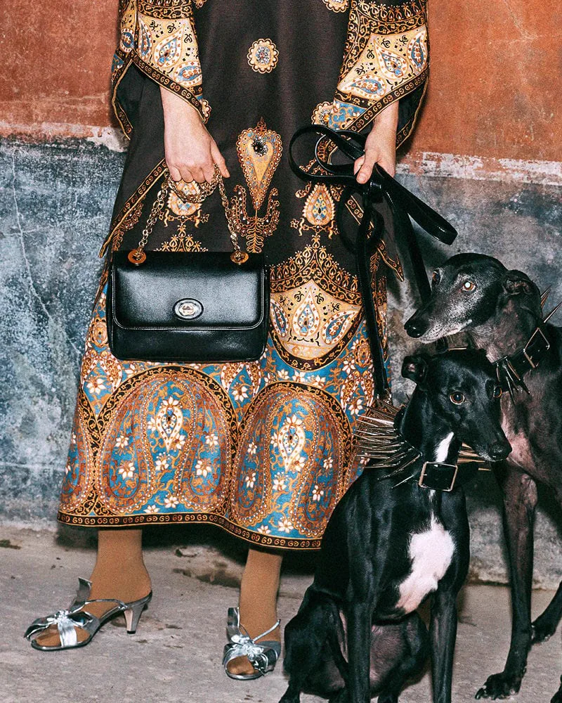 Reference image illustrating Gucci Pre-Fall 2019 Handbags: Exotic Skins, New Hardware & Mini Bucket Bags