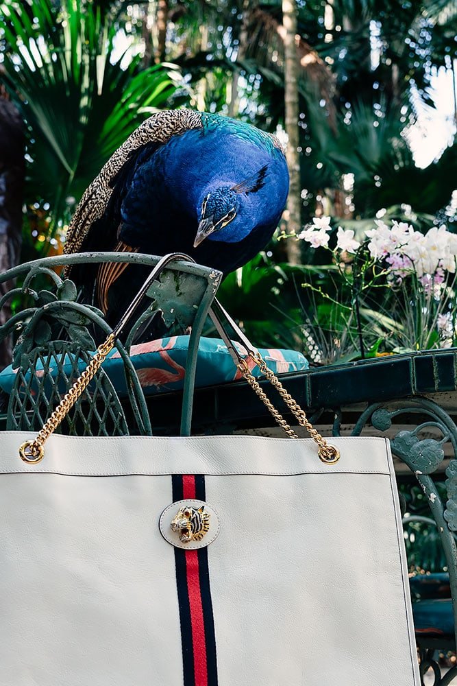 Reference image illustrating Gucci Rajah Tote Review: A Slim, Sleek Everyday Bag with Tiger-Head Detail