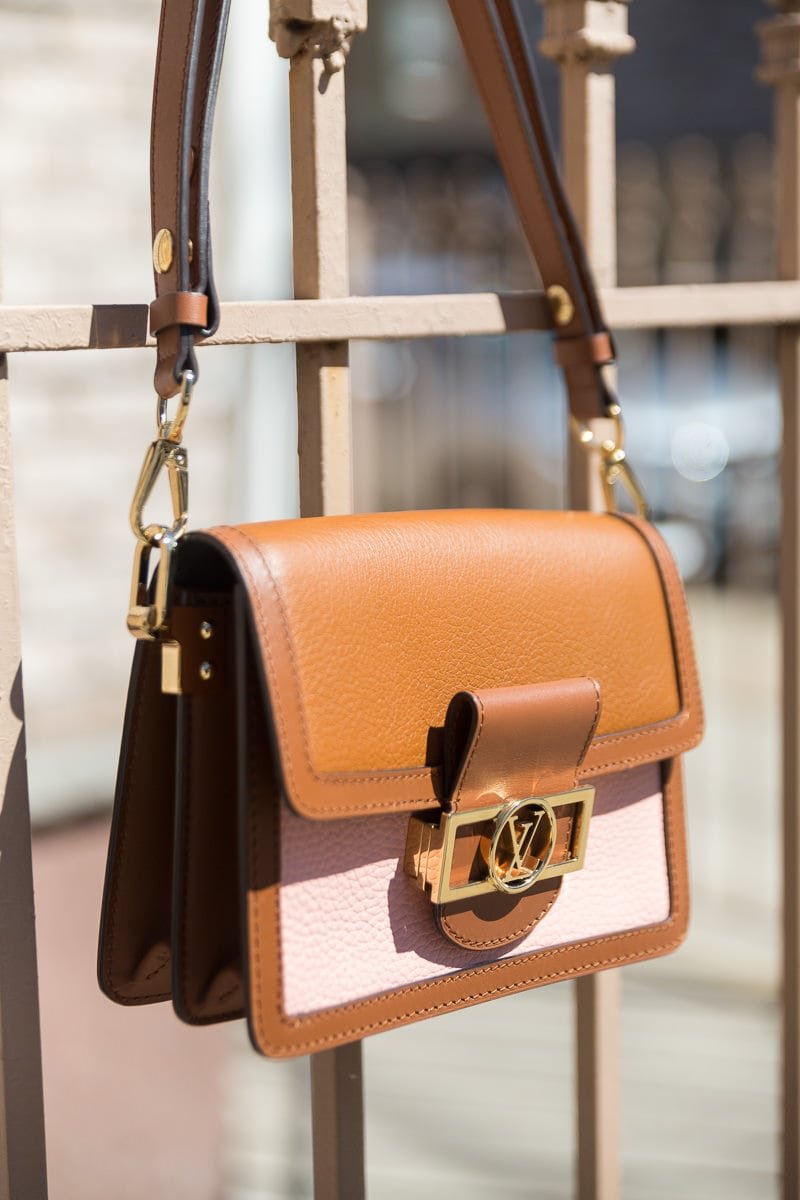 Reference image illustrating Louis Vuitton Mini Dauphine Bag in Bicolor Taurillon Leather: A Spring 2019 Runway Review