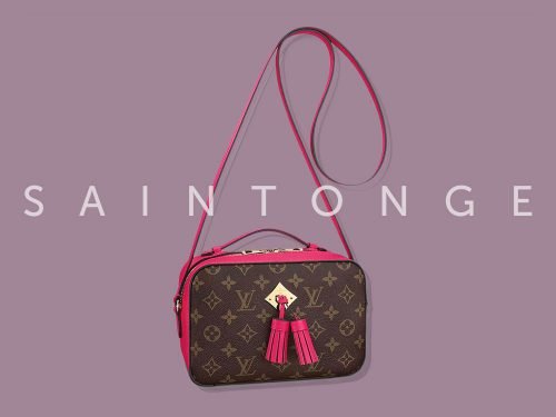 Louis Vuitton Saintonge Bag Review: A Modern Take on the Classic Monogram Camera Bag cover image