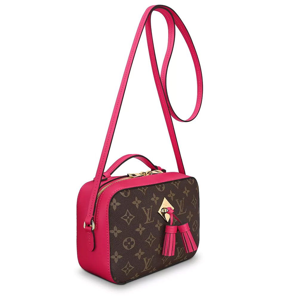 Reference image illustrating Louis Vuitton Saintonge Bag Review: A Modern Take on the Classic Monogram Camera Bag