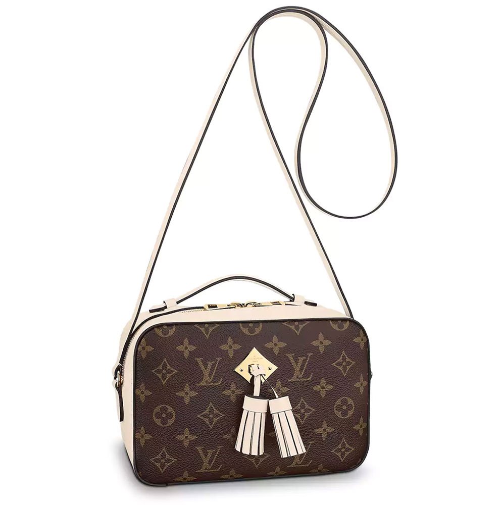 Reference image illustrating Louis Vuitton Saintonge Bag Review: A Modern Take on the Classic Monogram Camera Bag