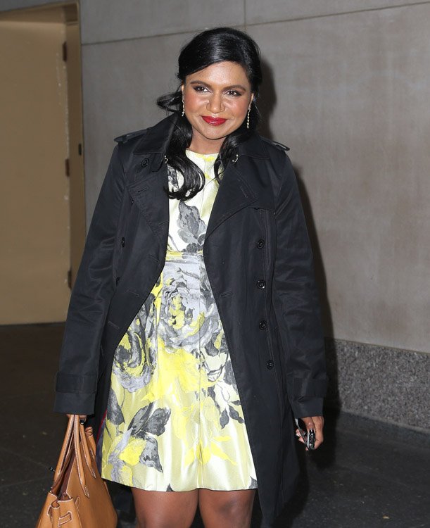 Reference image illustrating Mindy Kaling Joins the Hermès Birkin Club: A Stylish Sight in NYC