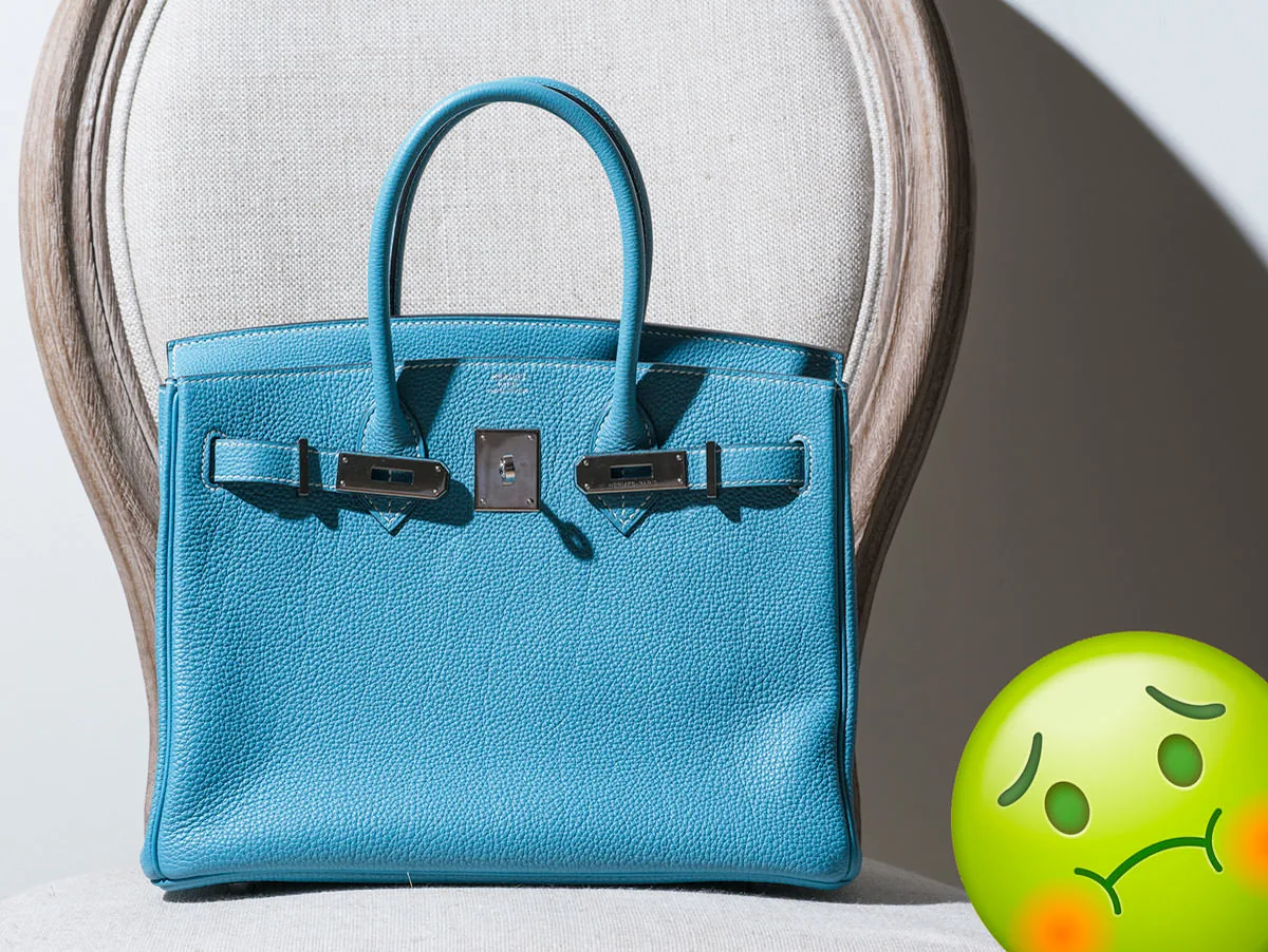 Reference image illustrating My First Hermès Birkin Purchase: The Panic Attack That Followed My Dream Bag