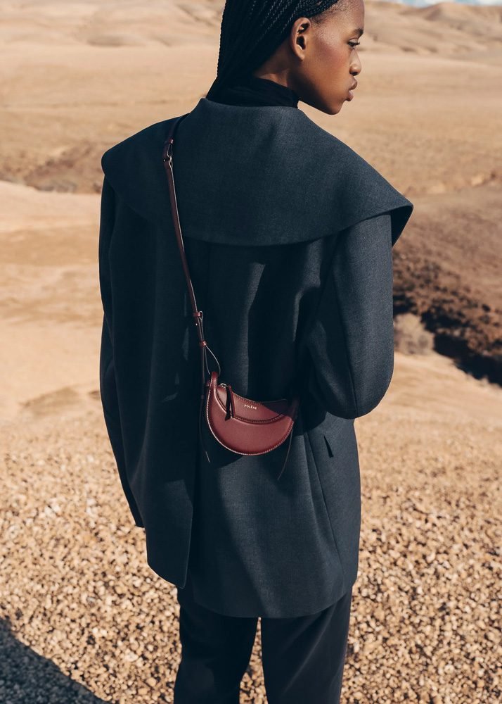 Reference image illustrating Polène Numéro Dix Micro Bag: A Petite Take on the Iconic Half-Moon Silhouette