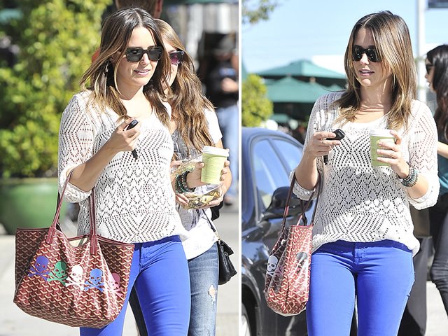 Reference image illustrating Sophia Bush’s Custom Burgundy Goyard Tote with Pastel Skull Decals: A Punk Twist on Luxury