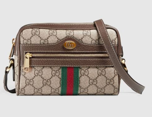 Spring 2018’s Most Important Handbag Debuts: From Gucci Ophidia to Loewe Gate thumbnail