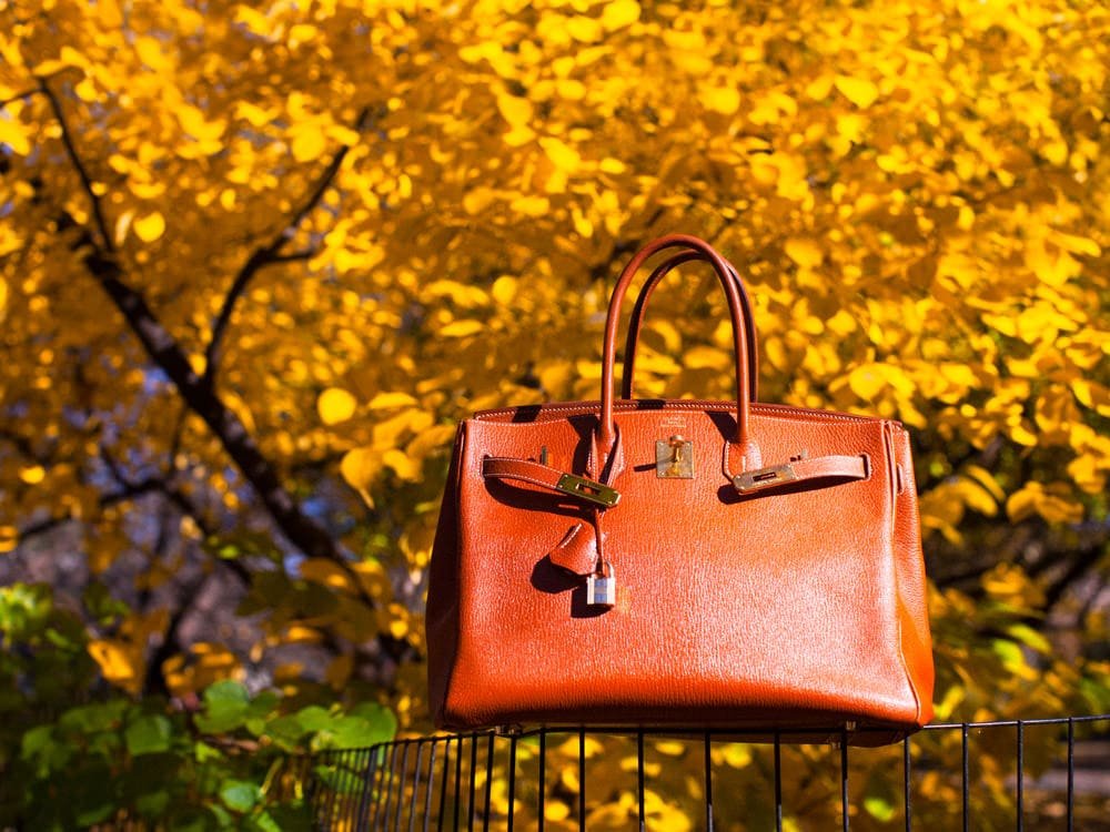 Reference image illustrating Why I Will Never Buy an Hermès Birkin: A Luxury Handbag Collector's Honest Take
