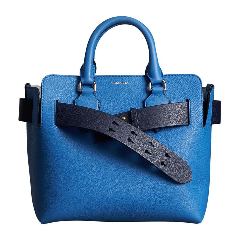 Reference image illustrating Why the Burberry Belt Bag Deserves a Spot in Your Luxury Handbag Collection