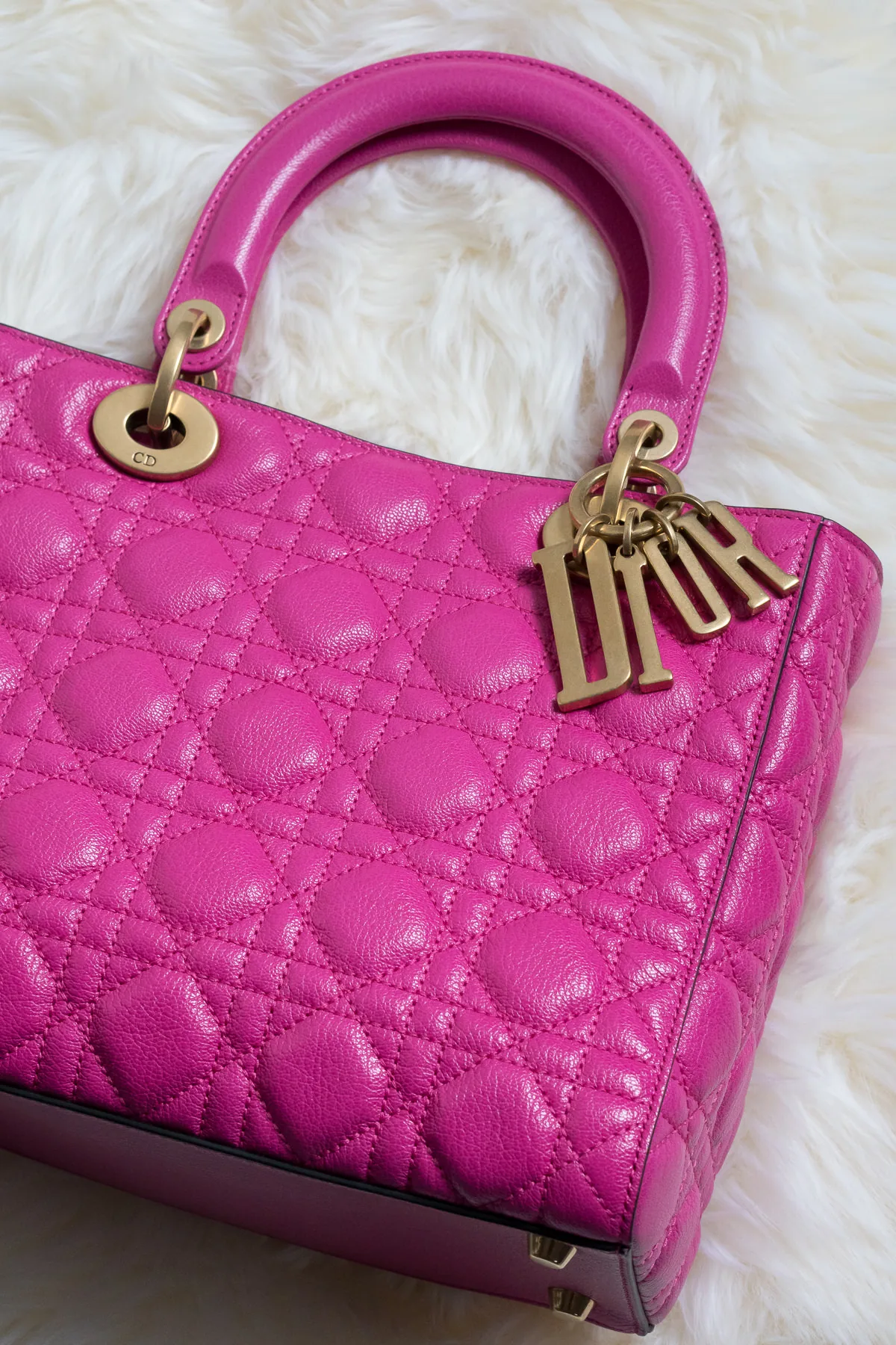 Reference image illustrating Why the Lady Dior Bag in Hot Pink Is the Ultimate Statement Accessory